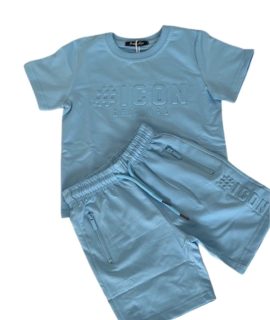 Icon zomerset – Blauw