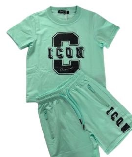 Icon zomerset – Mint groen