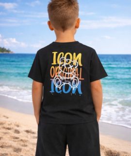 Icon zomerset- Zwart