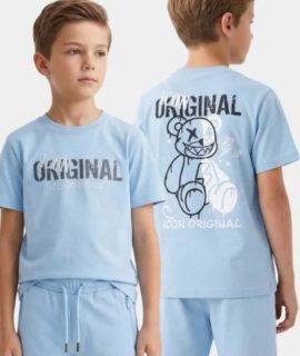 Icon zomerset- Blauw